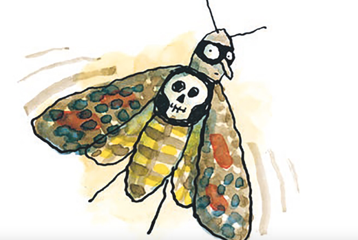 Een tuintje op je buik