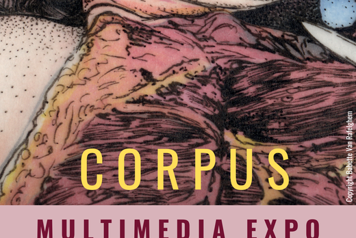 Multimedia experience CORPUS
