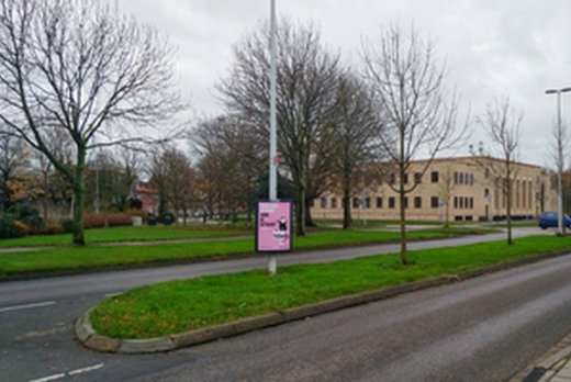Kleine Hein in Leiden