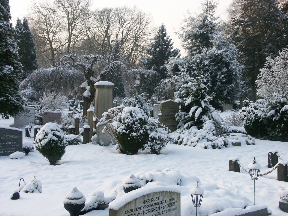 Winter op De Nieuwe Ooster