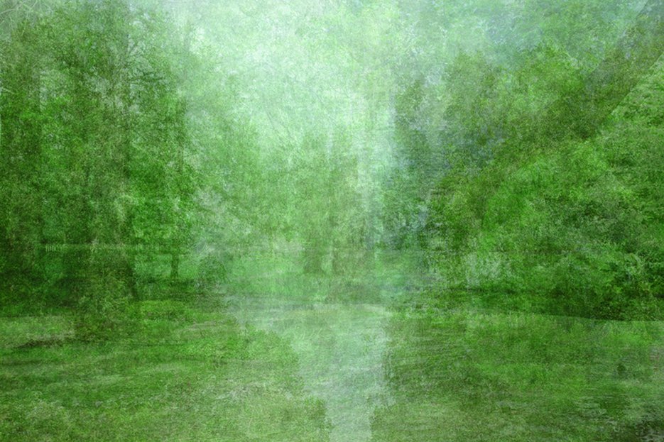 Kim Boske, I go walking in your landscape, lambdaprint, 2010. Het werk was te zien in Museum Tot Zover tijdens de tentoonstelling Afterlife (2011/12), en nu als expositie online.