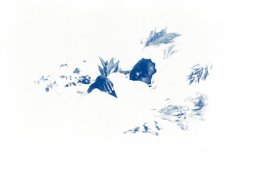 Nu